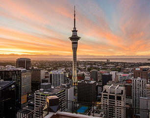 Visa For You Tours & Services